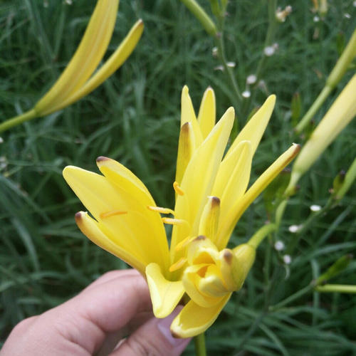 真诚地称赞自己