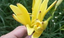 真诚地赞美自己