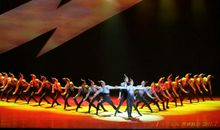 海燕之歌读后感