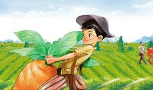 格林童话的读后感