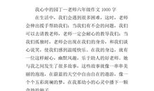 我的老师作文250字