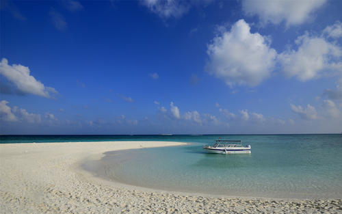 美丽的西沙群岛的组成