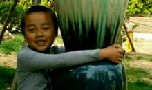 狐狸和豹读后感