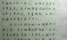 爱护小动物的作文