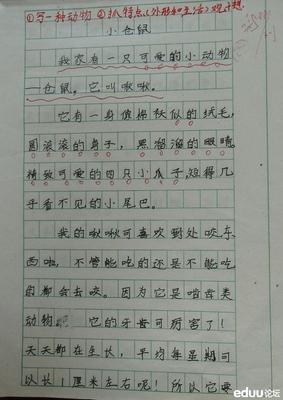 关于小动物的400个字