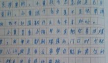小动物作文200字
