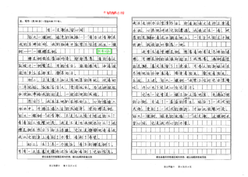 小学生100字日记
