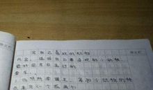 关于小动物的作文