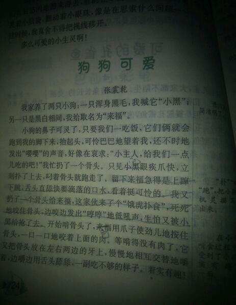 小学生日记300字