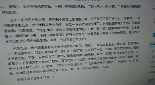 小动物作文300字