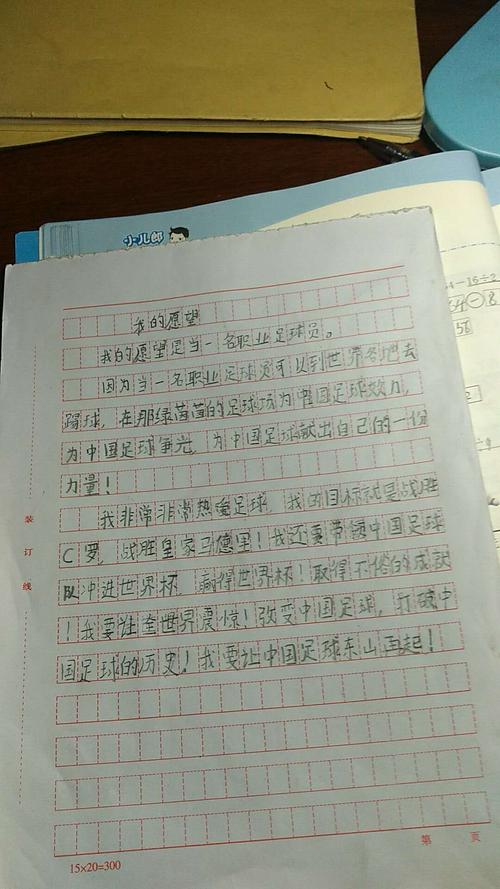小学作文我的兄弟