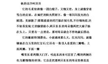 小动物作文500字