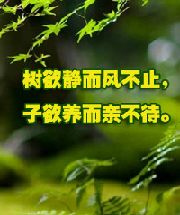 感恩节文章：儿子想要孝顺，但不等待亲戚