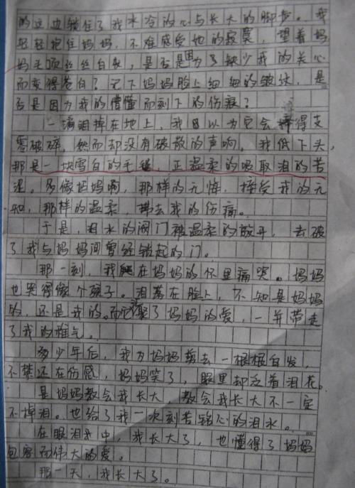 作文我了解生活的另一面