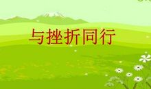 历练后的飞翔读后感