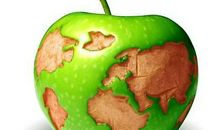 上帝咬过的苹果读后感