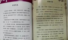 小动物作文600字