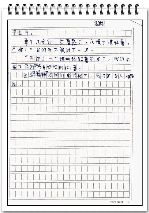 难忘的暑假作文600字