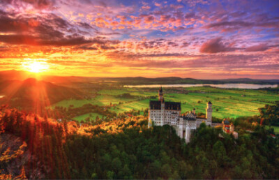 经典句子：如果您是凤凰树，凤凰将栖息