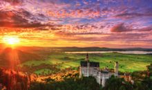 经典语句：自己是梧桐，凤凰才会来栖