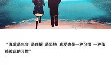 真爱是什么