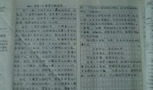 写事的作文600字