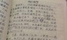 我的理想工程师