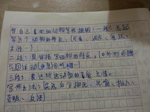 用小动物写作品