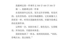 难忘的一件事500字