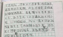 我不再流泪作文