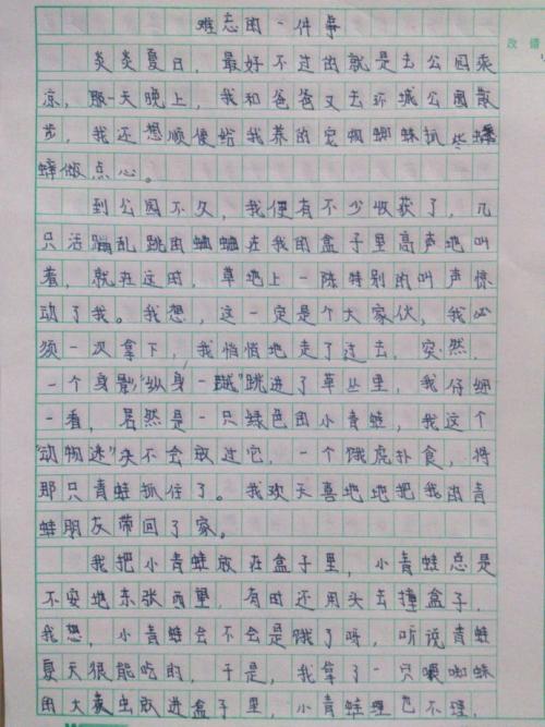 一件难忘的事450字