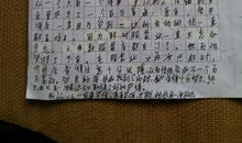 美丽的小路作文