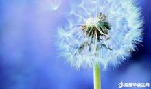 青春励志：什么才是真正的坚强？