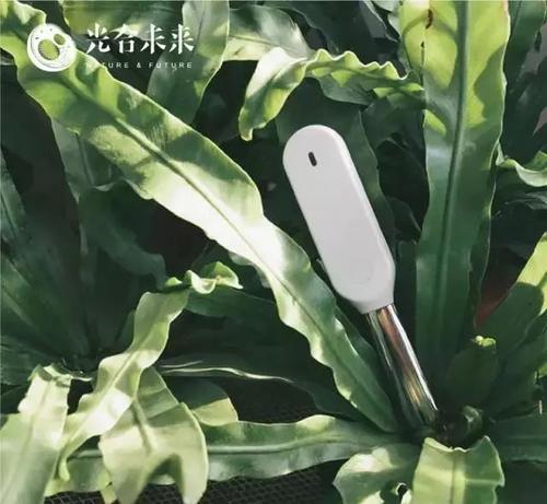 这个世界上有多少苦难，有恒心