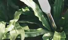 这世间有多少的苦难，便有多少的坚忍