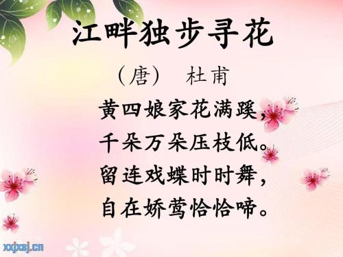 改写在河边独自找花的故事