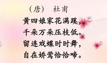 江畔独步寻花改写