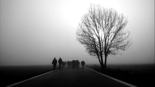 如果有另一种生活，让我永远照顾你