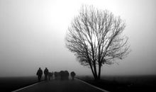 如果有来生，让我照顾你一辈子