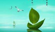 我的理想当一名演员