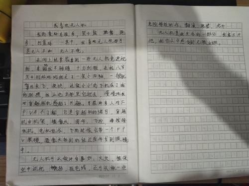 我的爱好作文500字