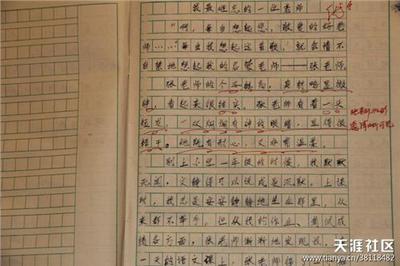 关于父母之爱的400字