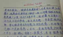 关于父母的爱的作文