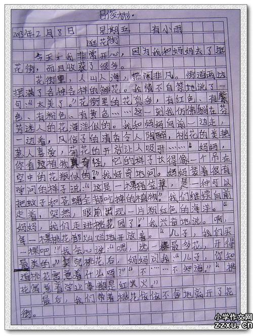 我的爱好作文200字