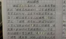 我的理想老师作文500字