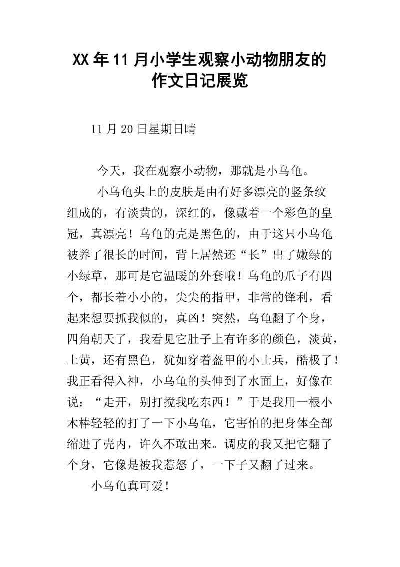 小动物的组成观察