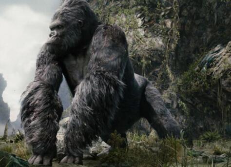 看不见的大猩猩阅读