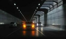 开隧道的矿蜂读后感