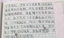关于父母对我的爱的作文