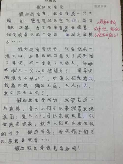 难忘的班级组成